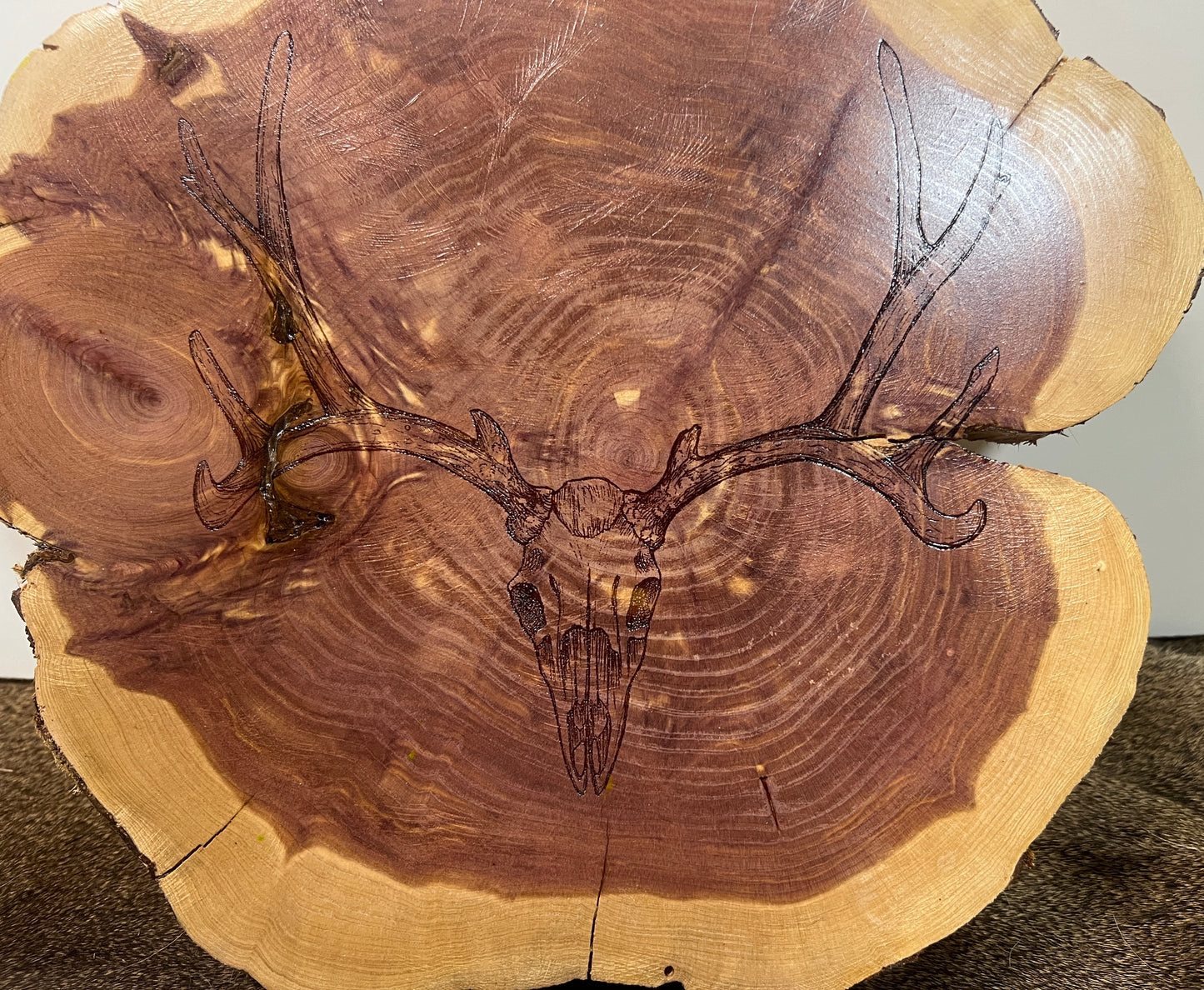 Cedar Round | Deer Skull