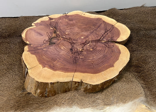 Cedar Round | Deer Skull