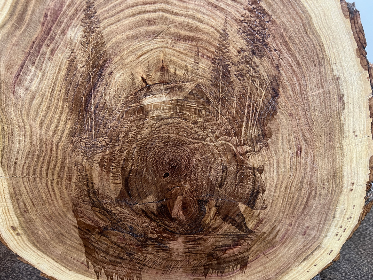 Oak Round | Grizzly Bear