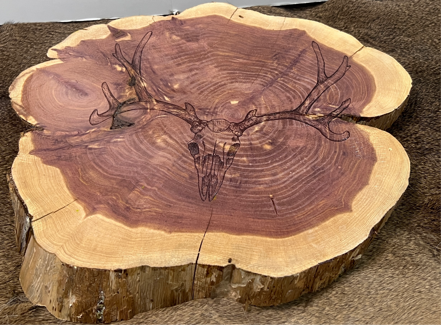 Cedar Round | Deer Skull